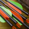 Archery Equipment & Supplies | Longmont, CO | Archery in the Wild